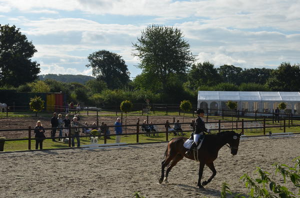 Bild vergr&ouml;&szlig;ern: Neue Reitanlage Heikendorf