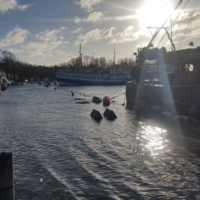 Bild vergr&ouml;&szlig;ern: Hafen Möltenort