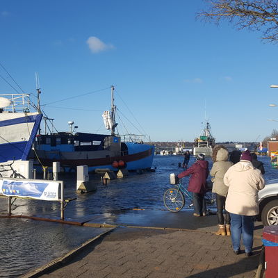 Bild vergr&ouml;&szlig;ern: Fischereihafen Möltenort