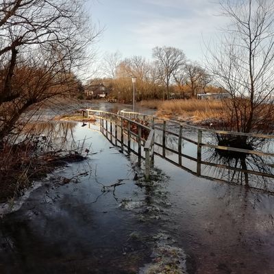 Bild vergr&ouml;&szlig;ern: Überschwemmte Entenbrücke im Bereich des Schlosskoppelweges