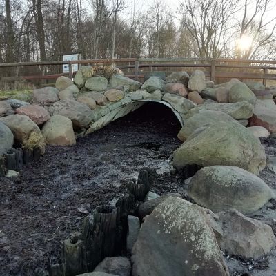 Bild vergr&ouml;&szlig;ern: Verstopfter Abfluss im Mündungsbereich der Mühlenau.