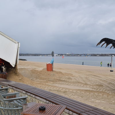 Bild vergr&ouml;&szlig;ern: 60 Lkw-Ladungen an sechs Tagen werden dazu am Strand aufgeschüttet.
