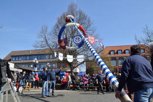 Bild vergr&ouml;&szlig;ern: Maibaum Heikendorf