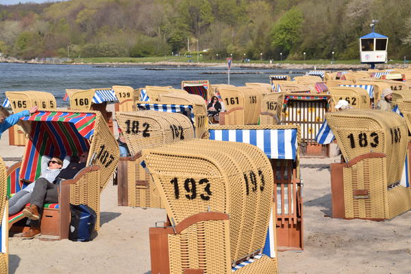 Bild vergr&ouml;&szlig;ern: Beliebter Wind- und Wetterschutz: Die Strandkörbe in Heikendorf