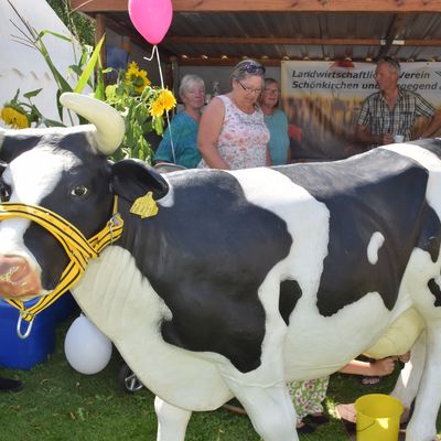 Bild vergr&ouml;&szlig;ern: DSC_0355