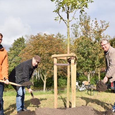Bild vergr&ouml;&szlig;ern: Der Gemeinde-Baum: Jonas Rose, Alexander Orth und Thure Spitz.