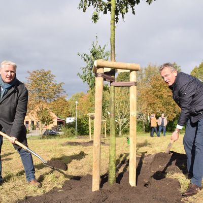 Bild vergr&ouml;&szlig;ern: Der Amts-Baum: Tade Peetz und Hans-Herbert Pohl