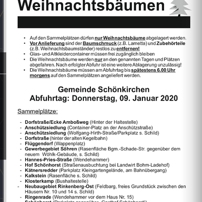 Bild vergr&ouml;&szlig;ern: Sammelplätze Tannenbaumabfuhr SK