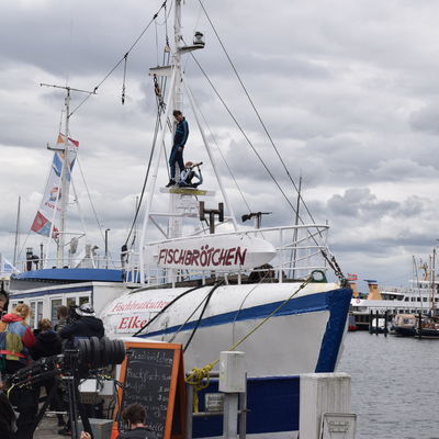 Bild vergr&ouml;&szlig;ern: DSC_0358
