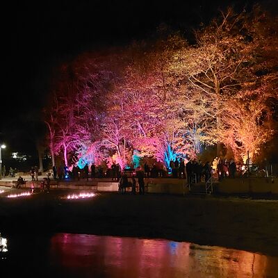 Bild vergr&ouml;&szlig;ern: Lichtermeer Mönkeberg