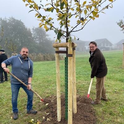 Bild vergr&ouml;&szlig;ern: Pflanzung 6