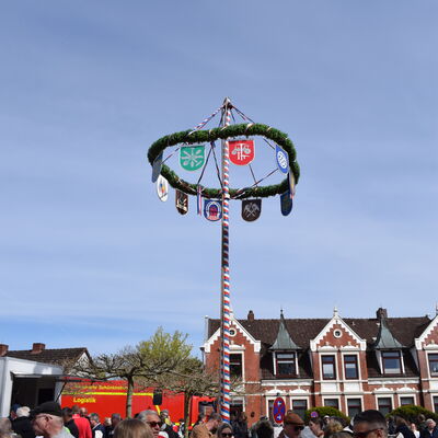 Bild vergr&ouml;&szlig;ern: Der Maibaum 2023 in Schönkirchen steht.