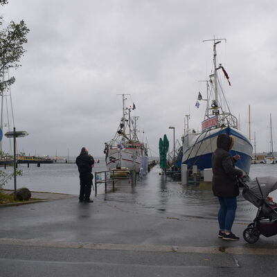 Bild vergr&ouml;&szlig;ern: Hafen Möltenort