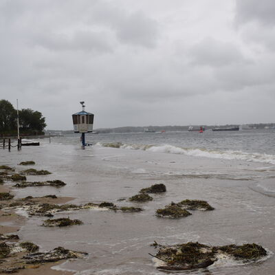 Bild vergr&ouml;&szlig;ern: Strand Möltenort