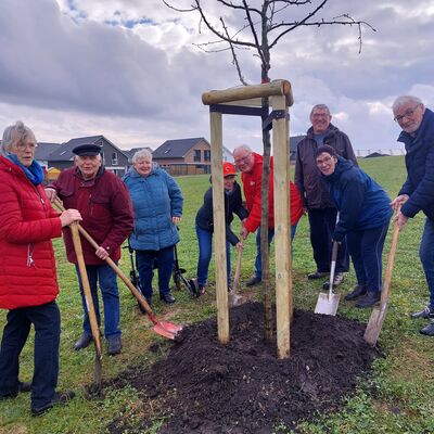 Bild vergr&ouml;&szlig;ern: Seniorenbeirat, Sozialverband und Arbeiterwohlfahrt pflanzten gemeinsam.