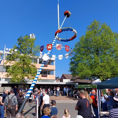 Bild vergr&ouml;&szlig;ern: Maibaum Heikendorf 2024
