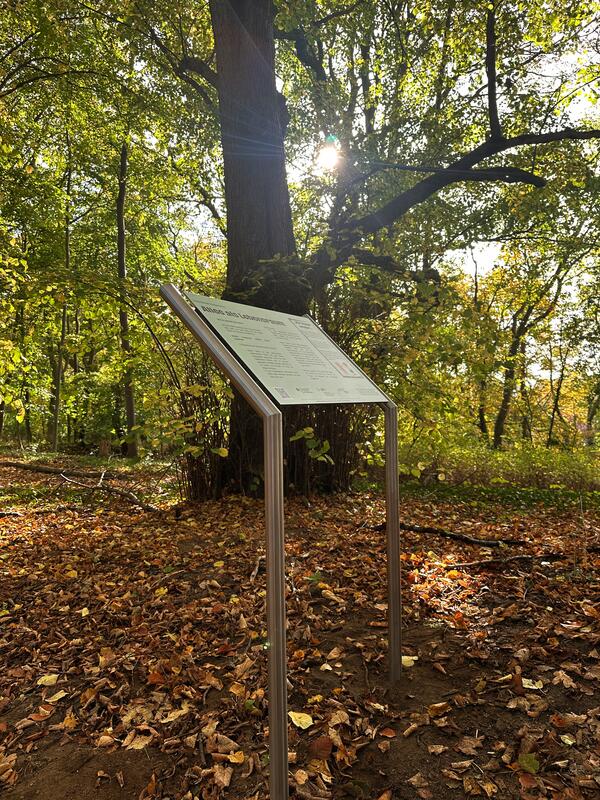 Bild vergr&ouml;&szlig;ern: Stangenwald - fertige Infotafel