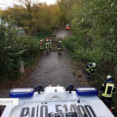 Bild vergr&ouml;&szlig;ern: Sturm Herwart in Heikendorf